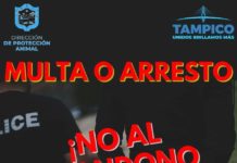 Multas por màs de 7 mil pesos y hasta arresto por abandono y maltrato animal