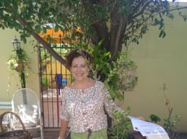 Propuestas ciudadanas son buenas herramientas para cuidar el medio ambiente: Carlos Peña Ortiz