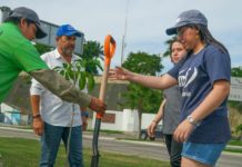 Continúa Pepe Scheckaibán reforestando espacios públicos y áreas verdes en Tampico