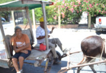 Don Cuco y La Orejona recorren las calles de la ciudad pepenando para vivir