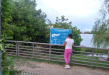 Concientizan a la población para evitar su ingreso a la laguna del Carpintero que es hábitat de cocodrilos