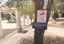 Exhortan a la población a cuidar los espacios públicos y plazas públicas