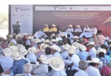 Arranca programa de Fomento a la Ganadería para el Bienestar en Tamaulipas