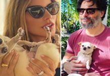 Sofía Vergara y Joe Manganiello discuten la custodia de su perrita