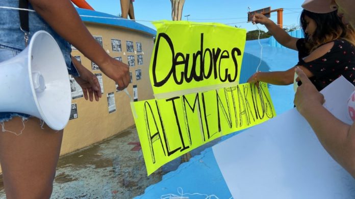 deudores alimentarios