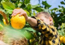 Los otros secretos (aparte de la comida) de la dieta mediterránea, la más recomendada para la salud