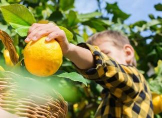 Los otros secretos (aparte de la comida) de la dieta mediterránea, la más recomendada para la salud