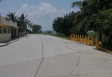 Investigan aparente caso de mapaches mutilados