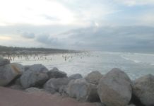 Playa Miramar no está en riesgo de perder certificación