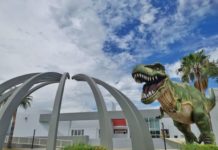 Ofrece TAMUX sorpresas de fin de semana y nuevos talleres