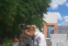 Vigila Protección Animal Reynosa cumplimiento de la Ley y respeto a mascotas