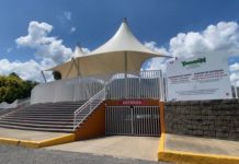 Impulsa la Comisión de Parques y Biodiversidad generación de jardines polinizadores en Tamaulipas