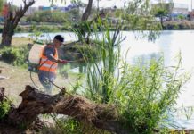 Fumigó el Gobierno de Reynosa calichera de Balcones de Alcalá