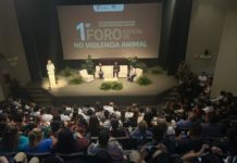 Reconocen disposición del Gobierno de Tamaulipas para prevenir maltrato animal y fortalecer legislación