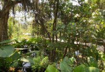 Tamaulipas es punta de lanza en preservación de la biodiversidad