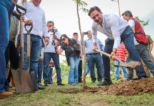 Promueve Alcalde Carlos Peña Ortiz reforestación de Reynosa