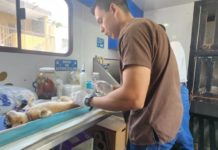 Proteger animales y reforestar Reynosa, objetivo de programa ECOPATAS