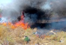 Bomberos sofocan incendio en pastizal que dejo daños