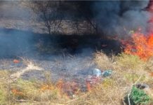 Bomberos sofocan incendios en pastizales que dejaron daños materiales