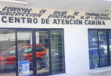 Exhortan a la ciudadanía vacunar a sus animalitos domésticos