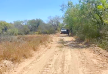 Hallan otro cadáver en el “Viaducto de la Muerte”
