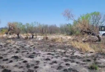 Hallan otro cadáver en una brecha del tétrico “Viaducto de la Muerte”