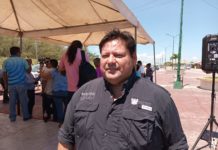 Reubicarán a mapaches de la escollera