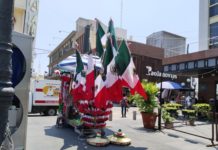 A partir de hoy vendedores de artículos patrios se instalaron en la zona centro de Tampico.