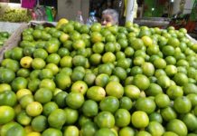 Al alza precio de frutas y verduras
