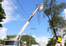 Instan a mantener despejadas aéreas de cableado de CFE