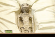 Periodista muestra “seres no humanos” de “1.000 años de antigüedad” en el Congreso mexicano