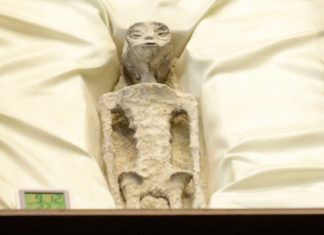 Periodista muestra “seres no humanos” de “1.000 años de antigüedad” en el Congreso mexicano