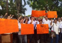 Al terminal paro magisterial, hoy 33 mil niños regresaron a clases en Tampico