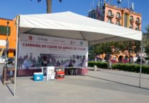 SEDENA invitan a población sumarse a programa de canje de armas de fuego 2023