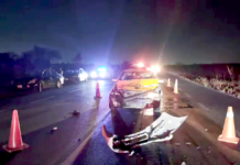 Taxi se impacta contra vaca y deja cuantiosos daños materiales