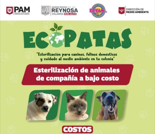 Programa “EcoPatas” llevará beneficios a colonia Industria Maquiladora