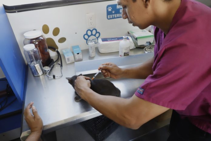 d9eb2807-8da2-44da-84fc-f9c510af8094