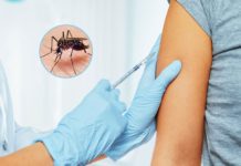 Dengue se concentra en tres municipios; ya van 46 casos