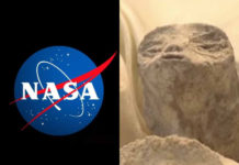 La NASA cuestiona ‘extraterrestres’ presentados por Jaime Maussan