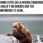 meme oso