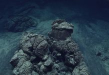 Descubren el virus “más profundo” conocido hasta ahora