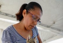 Ofreció Gobierno de Carlos Peña Ortiz Brigada Ecopatas en San Valentín