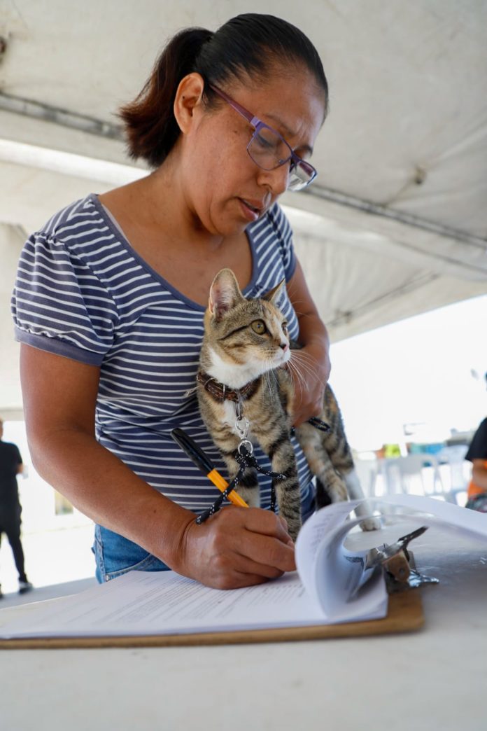 21fbb1c4-9a4c-4971-8b24-065a5047c2b5