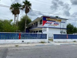 Invitan a registrarse para el Curso de Elaboración de Flores de Nochebuena en Fomy