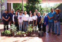 Apoyan con 44 árboles al CBTIs 125 de Miguel Alemán