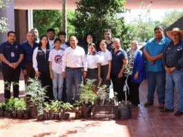 Apoyan con 44 árboles al CBTIs 125 de Miguel Alemán