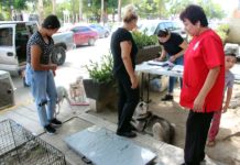 Llevaron a cabo este domingo su campaña de Esterilización de Perros y Gatos 2023