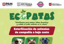 Programa EcoPatas llegará a Fraccionamiento San Valentín