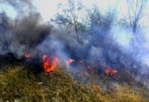 Bomberos acuden a llamado de incendio en predio baldío