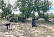 Colaboradores Aptiv, guardianes verdes del medio ambiente